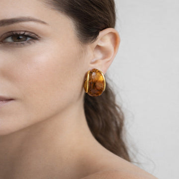 Gold-Toned Brown Resin Hoop Earrings