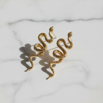 Trendy Serpent Drop Earrings for Women