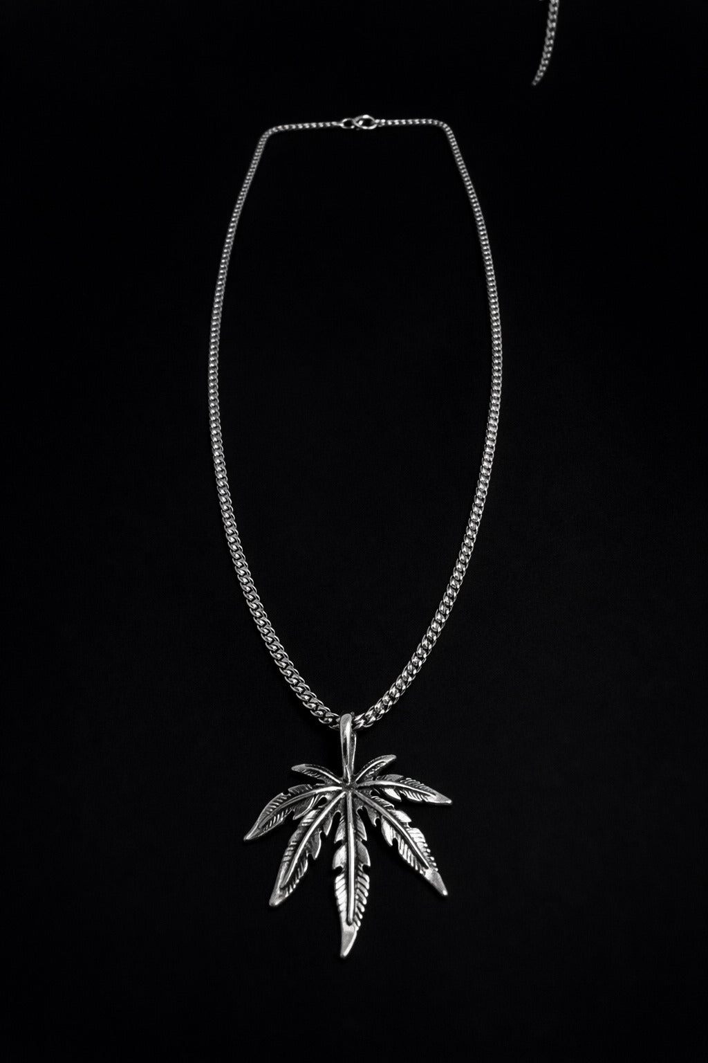 Silver necklace with a leaf pendant on a black background
